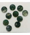 10 Pcs Lot Moss Agate 6mm Faceted Round.-Item 171LO