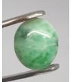 Ovaler Cabochon aus Jade (Jadeit), 19 x 14 mm.-Ref. 1005MG