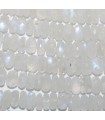 Moonstone  Graduated Faceted Rondelle 8x4-12x6mm. Approx.-Strand 45cm.-Item.8570