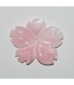 Natural Pink Shell Anhängerblatt 32-38mm.Approx.-Ref. 9264